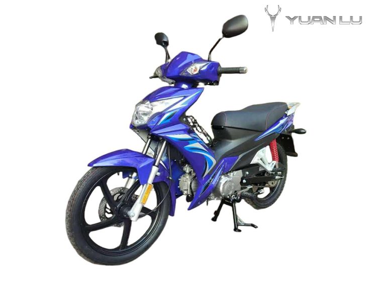 NEW 110cc Motorcycles Single Cylinder Four Stroke CDI Ignition Clutch DC Motor With Anti-theft Device