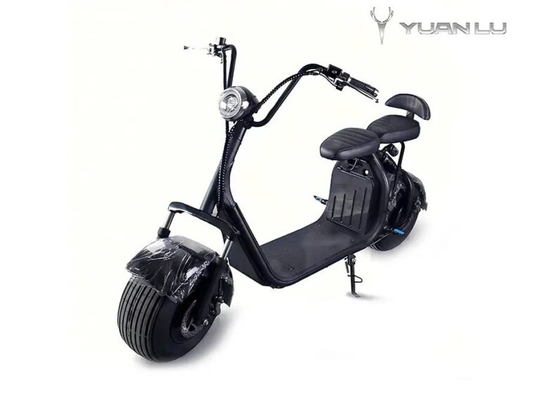 Fashion Electric Scooter Fat Tire E Motorcycle 1000W For Adults Bike