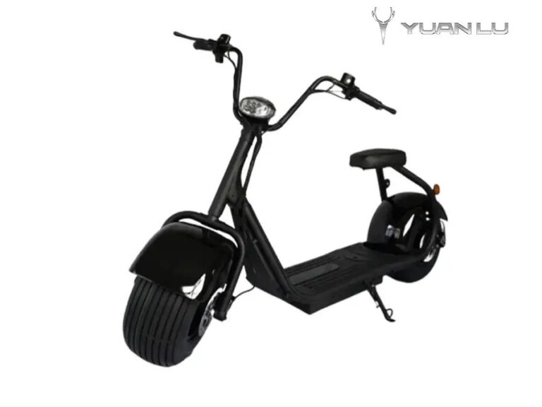 City Electric Fat Tire Bike Citycoco E Scooter Wide Tire