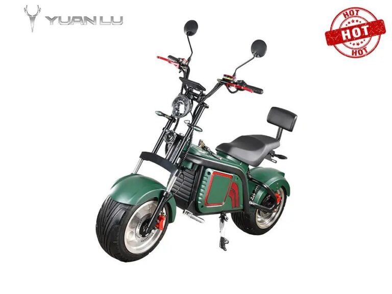 EEC Approved Retro Electric Scooter 2 Wheels Fat Tire Retro Motorcycle