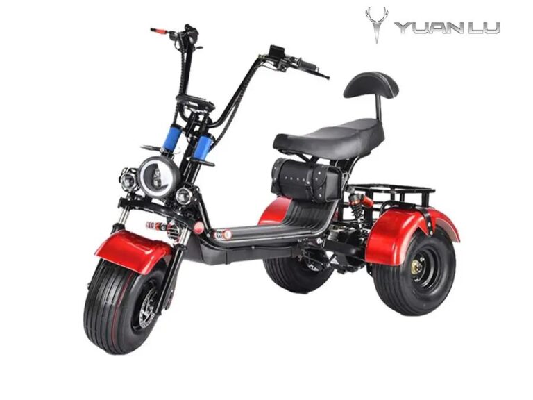 Powerful Electric Fat Tire Scooter 3 Wheel 48V12A E Bike 48V800W Motorcycle