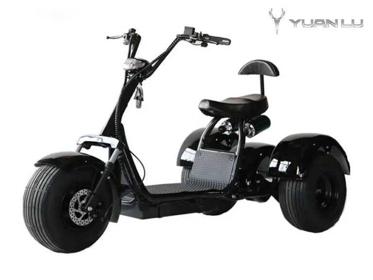 Factory OEM 3 Wheel Electric Motocycle Citycoco CE