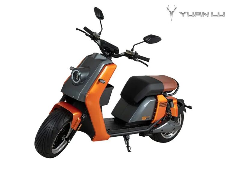 Factory OEM EEC COC L1E-B 45kmh Electric Motocycle Citycoco