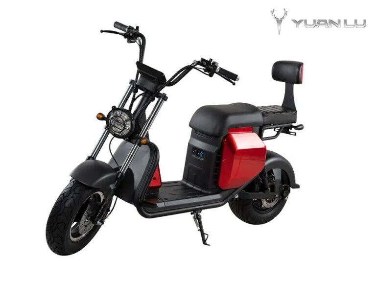 High Quality EU Register EEC COC Electric Motocycle Citycoco
