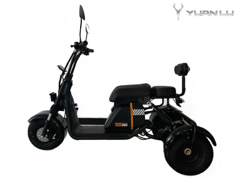 1200W Factory OEM Mini 3 Wheel Electric Motocycle Citycoco CE