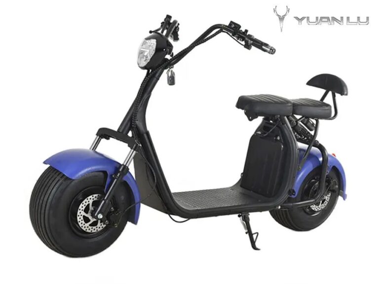 New Design Factory OEM 2 Wheel Electric Motocycle Citycoco CE