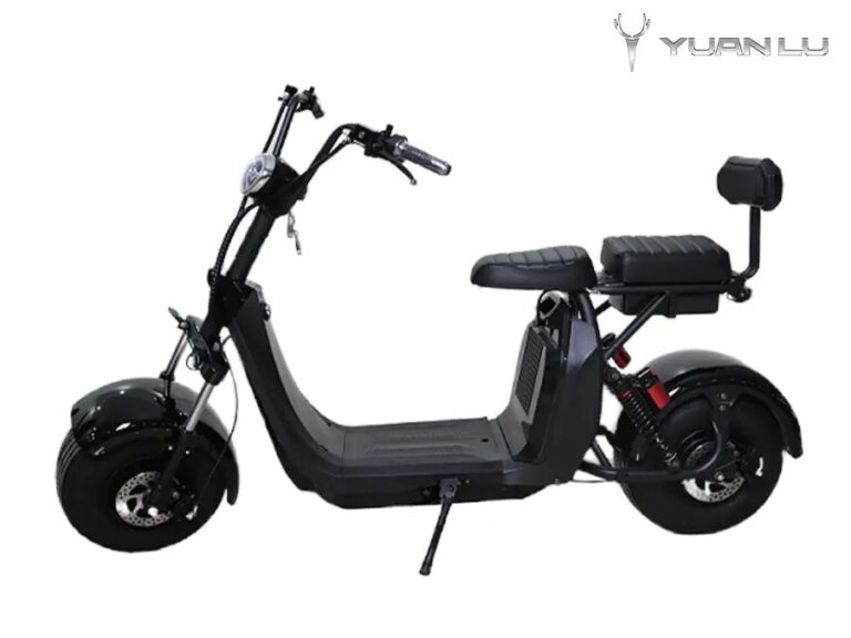 2000W New Design High Quality Electric Motocycle Citycoco CE