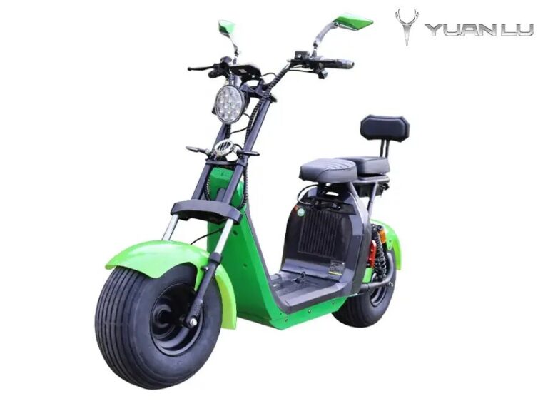 Factory OEM New Design High Quality Electric Motocycle Citycoco CE