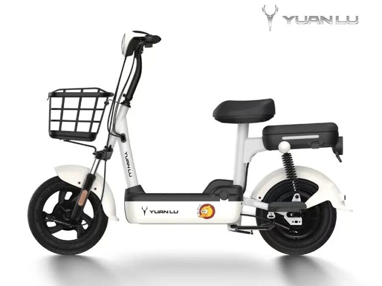 Economical Electric Scooter With Pedals Electric Bicycle With 48V Battery YUANLU2223-1Z