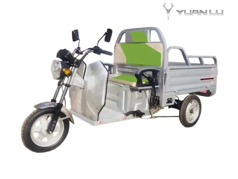 Factory Customization Cargo 3 Wheels Big 48v 500w Triciclo Electrica Electric Tricycles For
