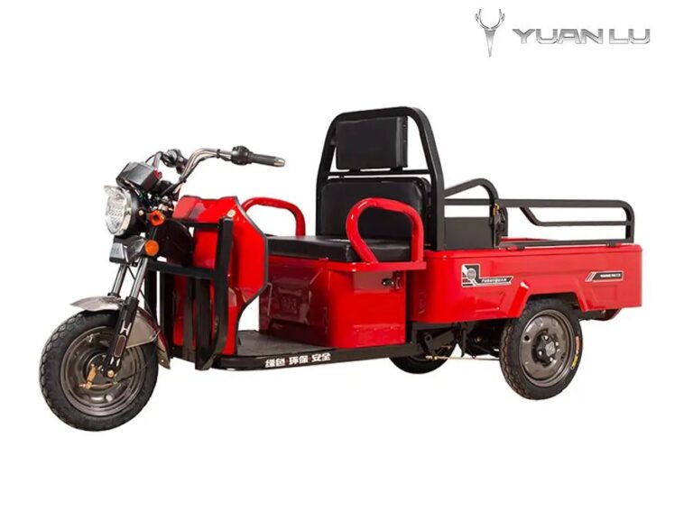 Passenger Cargo Adult E – Trike Electric Food Tricycle for Adults