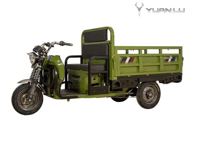 1500W Worksman Electric Trikes Kenya Cargo Tricycle 3 Wheel Adult Tricycle