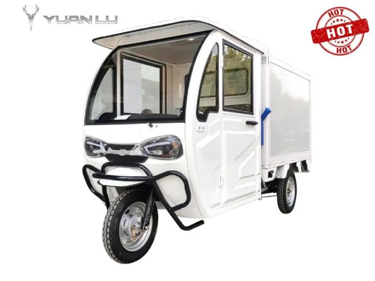 Frozen Cabin Three Wheel Motorcycle Ice Cream Delivery Refrigerator Electric Tricycle